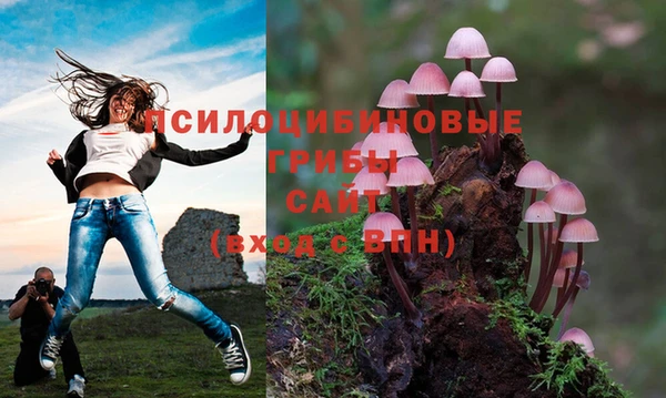марихуана Арсеньев