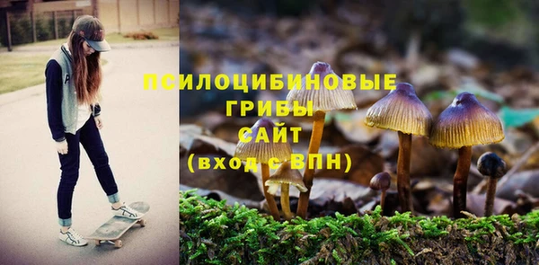 эйфоретик Аркадак