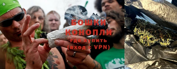 ПСИЛОЦИБИНОВЫЕ ГРИБЫ Алексеевка