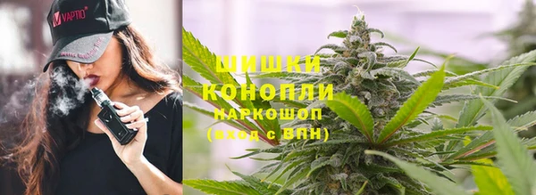 ПСИЛОЦИБИНОВЫЕ ГРИБЫ Алексеевка